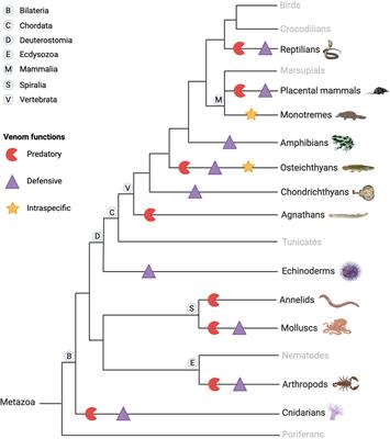 Venom-derived peptides for breaking through the glass ceiling of drug development